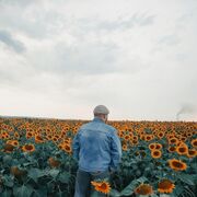 ���������� ������, ���� ������� �����, 27 ���, ������������ ��� ������, ����� � ���������