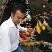 ���������� �������, ���� ������� Cetin, 54 ����, ������������ ��� ������, ����� � ���������, c�������� ���������