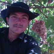  ,   Olim85, 40 ,   ,   , c 