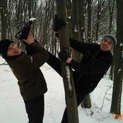 ���������� ����, ���� ������� �������, 41 ���, ������������ 