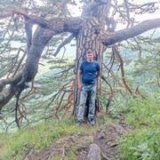  ,   , 38 ,   ,   , c , 