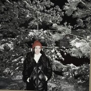 ���������� ����, ������