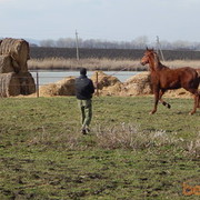 ��� ����