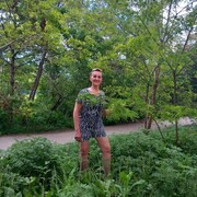 ���������� ���������, ���� ������� ��������, 66 ���, ������������ ��� ����� � ���������, c�������� ���������