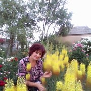  ,   , 60 ,  