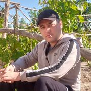  ,  Daston, 33