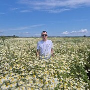 ���������� �����������-��-�����, ���� ������� �������, 45 ���, ������������ ��� c�������� ���������