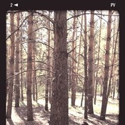  ,   , 38 ,     , c 