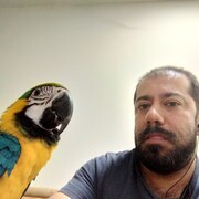  ,   Ned, 49 ,     , c 