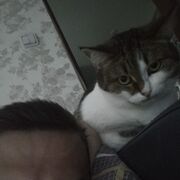   ,   , 27 ,   ,   