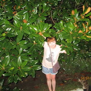 ���������� ��������, ���� ������� ������, 51 ���, ������������ ��� ������, ����� � ���������, c�������� ���������, ���������