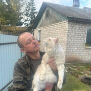  ,    , 43 ,   ,   , c , 