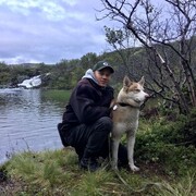 ���������� ������, ���� ������� ����, 38 ���, ������������ ��� ������, ����� � ���������