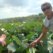 ���������� �����-��������, ������� ��������, 45