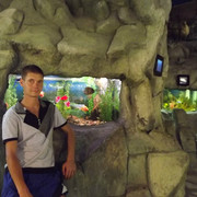  ,   , 39 ,   ,   , c , 