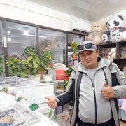  ,   , 44 ,   ,   , c , 
