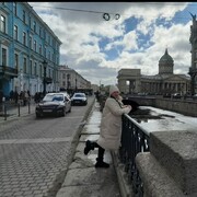  -,   , 51 ,   c 