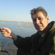  ,   , 61 ,   
