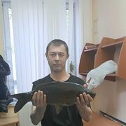 ���������� �������, ���� ������� ������, 46 ���, ������������ ��� c�������� ���������