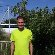   ,   , 50 ,   ,   