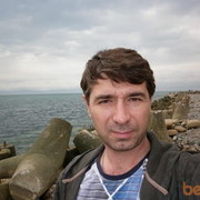  ,  Lion, 48