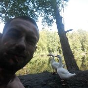 � ��� ������