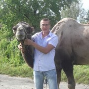 ���������� ������, ���� ������� ������, 38 ���, ������������ ��� ������, ����� � ���������, c�������� ���������, ���������