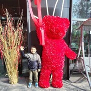 ���������� �������, ���� ����� �����, 19 ���, ������������ ��� ������, ����� � ���������, c�������� ���������