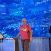 ����� ����.��������.