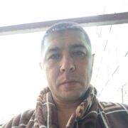 ���������� �������, ���� ������� Alexander, 38 ���, ������������ ��� ������, ����� � ���������