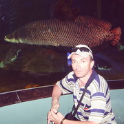  --,   , 56 ,   ,   , c 