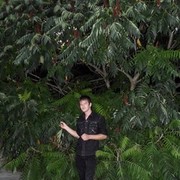  ,   , 35 ,   ,   , c , 