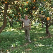  Limassol,  Vaqif, 60