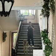 ���������� �����-���������, ���� ������� ����, 34 ����, ������������ ��� ������, ����� � ���������