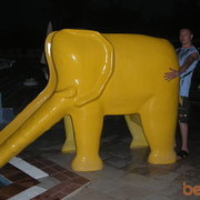 ���������� �����, ���� ������� �����, 46 ���, ������������ ��� ������, ����� � ���������, c�������� ���������