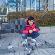  ,   , 37 ,   ,   