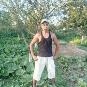  ,   , 38 ,   