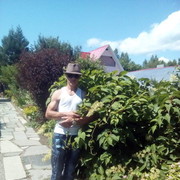  ,   , 41 ,     , c 