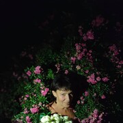  ,   , 64 ,   