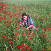  ,   Babek, 41 ,     , c 