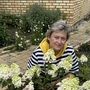 ���������� ������������, ���� ������� �������, 56 ���, ������������ ��� ������, ����� � ���������, c�������� ���������, ���������