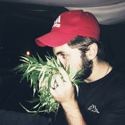  ,   David, 27 ,   ,   , c 