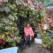  ,   , 45 ,   ,   