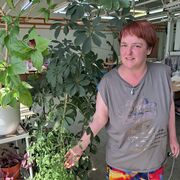 ���������� ������, ���� ������� ���, 42 ����, ������������ ��� ����� � ���������, ���������