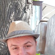  --,   , 36 ,   