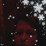 ���������� �����-���������, ���� ������� ������, 41 ���, ������������ ��� c�������� ���������, ���������