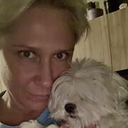 ���������� ������, ���� ������� ���������, 50 ���, ������������ ��� ������, ����� � ���������