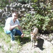  ,   , 29 ,   ,   , c 