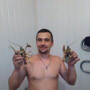  ,   , 40 ,   ,   , 