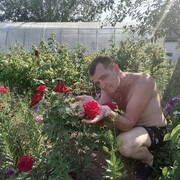  ,   , 46 ,     , c , 